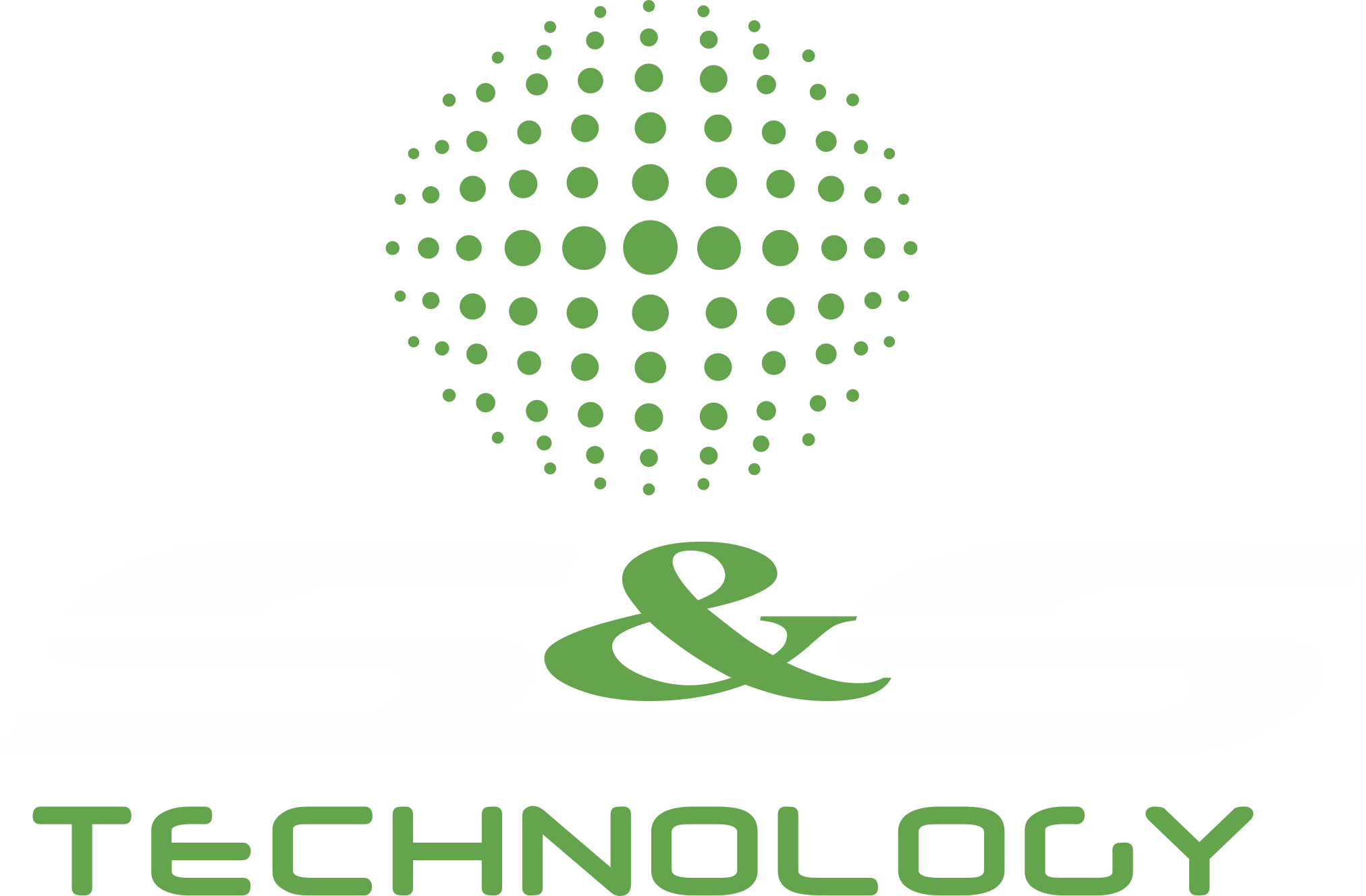 S&S Technology